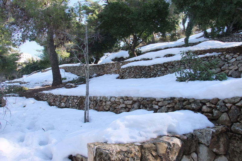 Temperatures in Israel Weather in january in israel